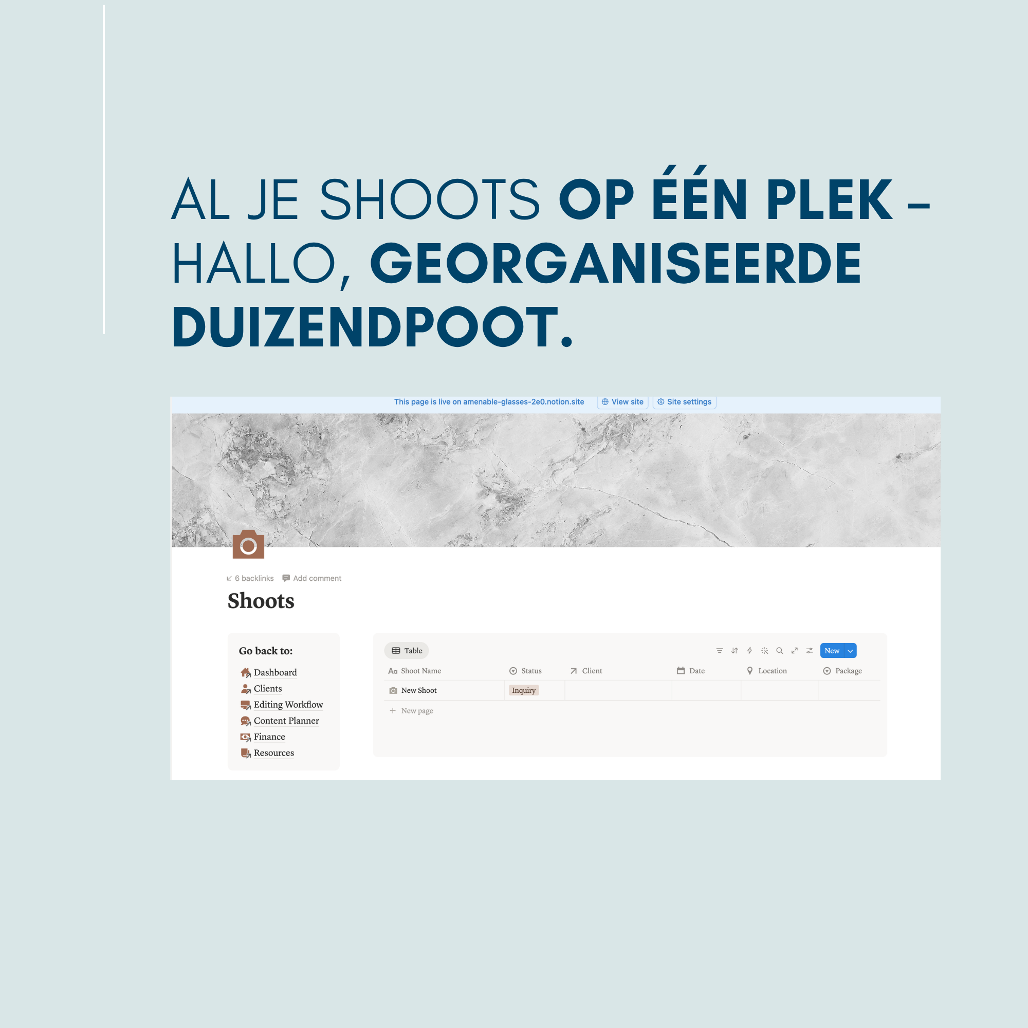 Notion Photographer Business Dashboard - Afbeelding 3