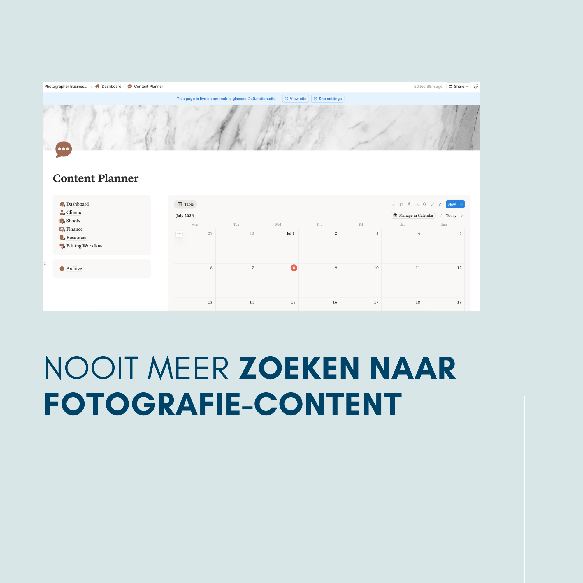 Notion Photographer Business Dashboard - Afbeelding 4