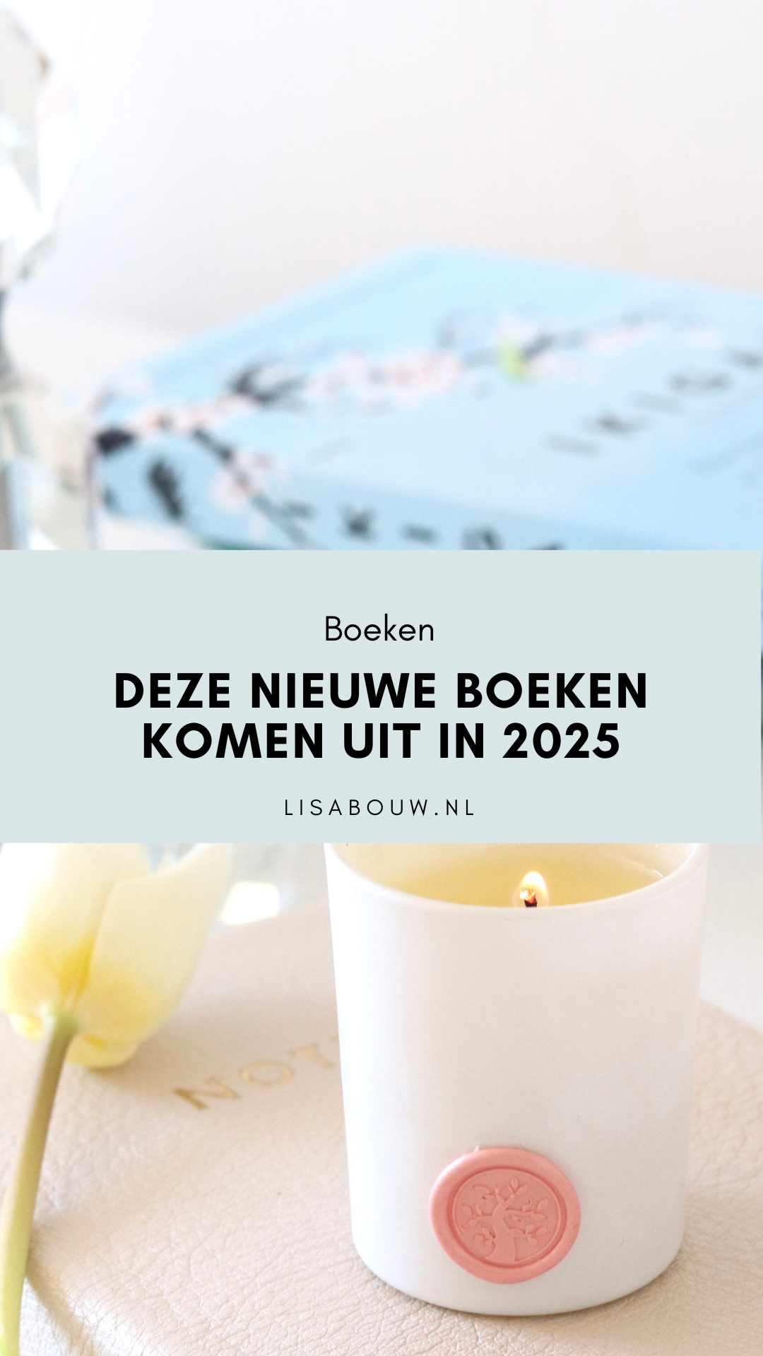 nieuwe boeken 2025