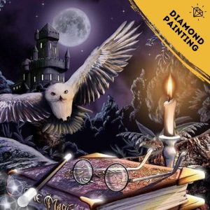 Harry Potter diamond painting