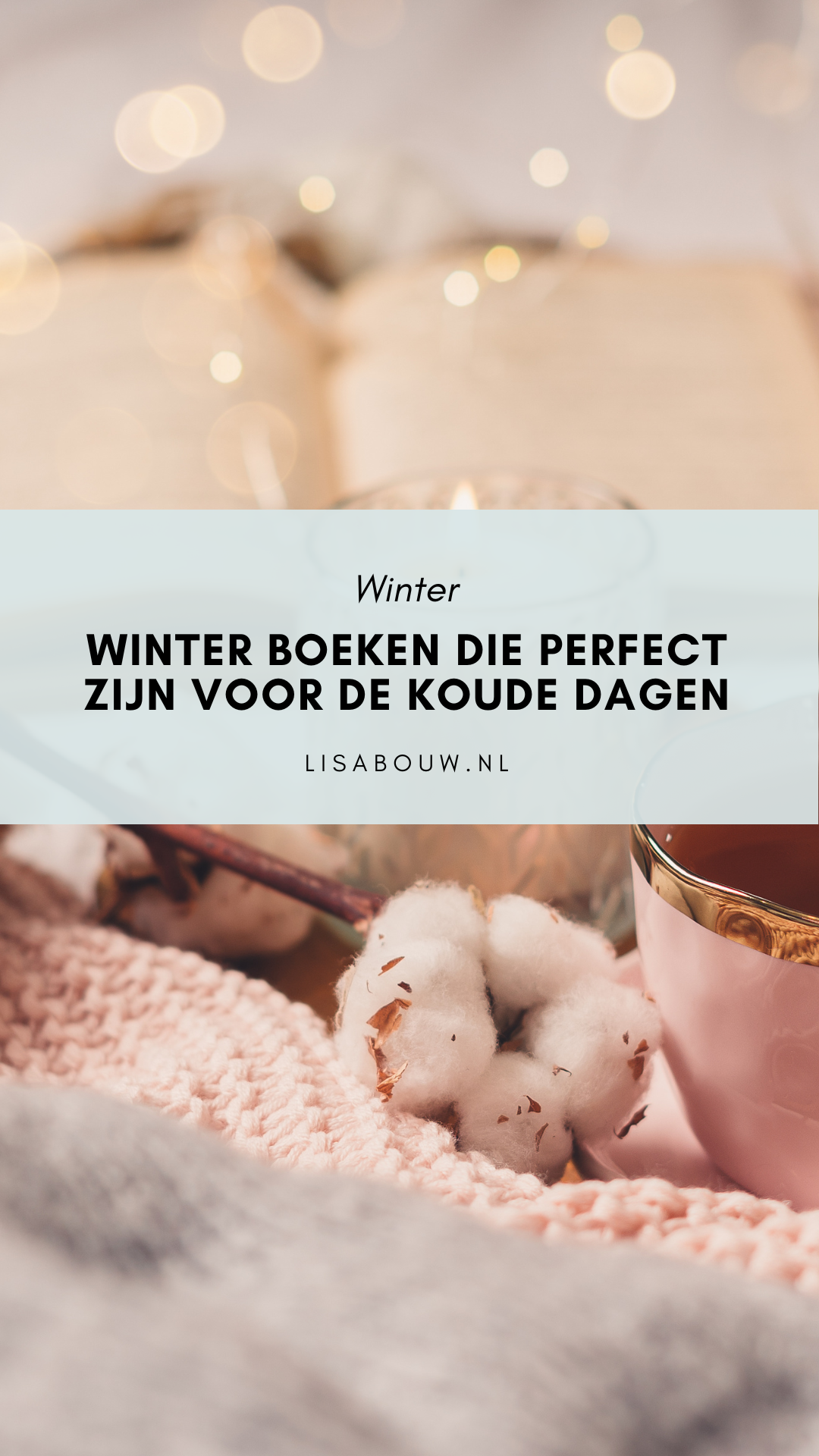 winter boeken